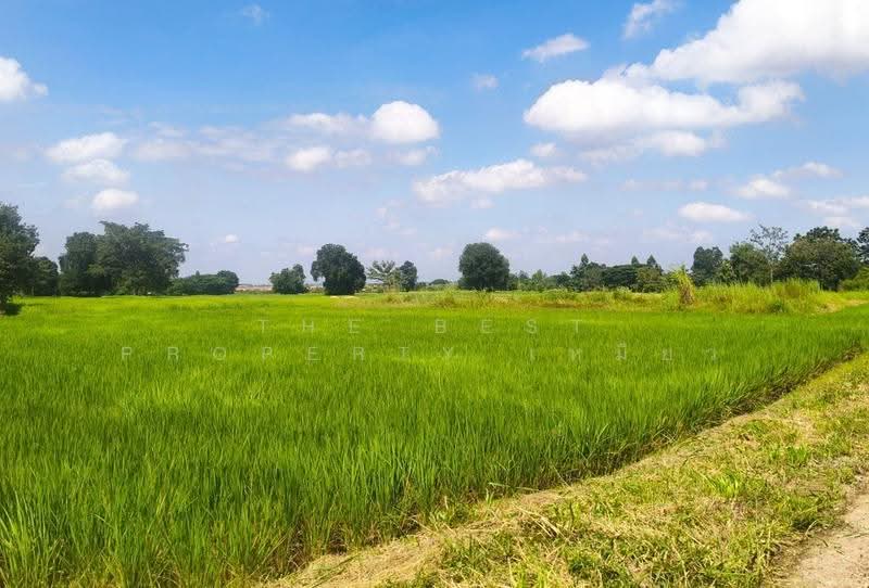 ที่ดินเมืองเก่า ขอนแก่น, khon-kaen, Muang Kao, Muang Khon Kaen, Khon Kaen, , 1,600 sqm, Land For Sale, by The Best Property เหมียว, 500588208 - DDproperty.com