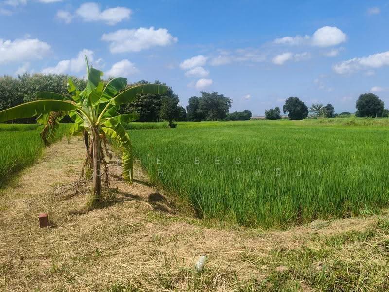 ที่ดินเมืองเก่า ขอนแก่น, khon-kaen, Muang Kao, Muang Khon Kaen, Khon Kaen, , 1,600 sqm, Land For Sale, by The Best Property เหมียว, 500588208 - DDproperty.com