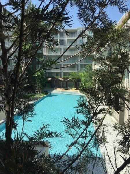 Autumn Hua Hin, prachuap-khiri-khan, Nong Kae, Hua Hin, Prachuap Khiri Khan, 1 Bedroom, 41 sqm, Condo For Sale, by Nithiroj Thipsukum, 500588264 - DDproperty.com