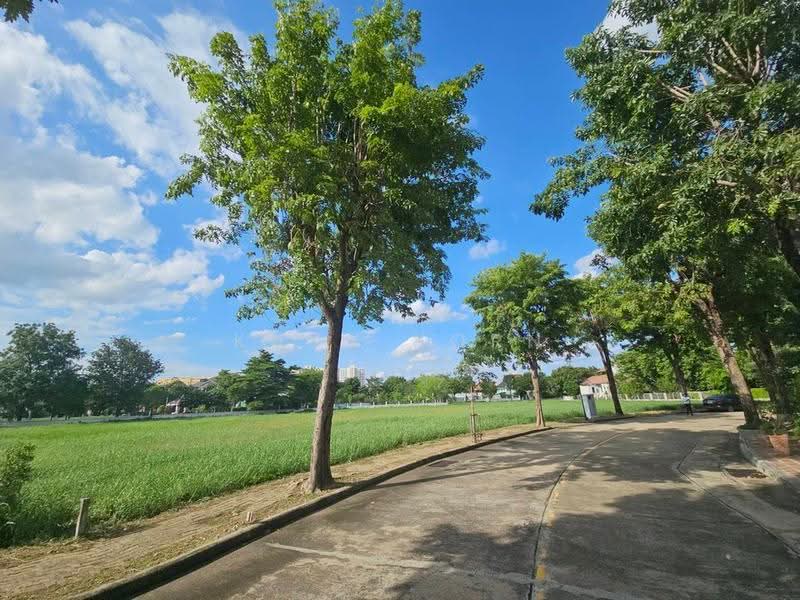 Karuehaad Tayard, nonthaburi, Bang Phut, Pak Kret, Nonthaburi, Studio, 3,480 sqm, Single Detached House For Sale, by Khun Korn, 500588513 - DDproperty.com
