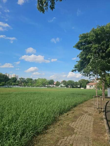 Karuehaad Tayard : คฤหาสน์ทายาท, นนทบุรี, บางพูด, ปากเกร็ด, นนทบุรี, 3,480 ตร.ม., บ้านเดี่ยว ขาย, โดย Khun Korn, 500588513 - DDproperty.com
