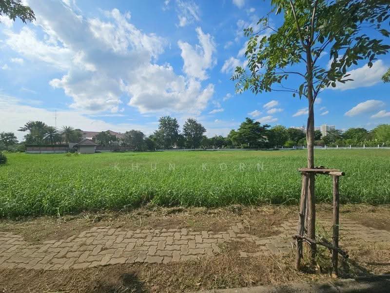 Karuehaad Tayard, nonthaburi, Bang Phut, Pak Kret, Nonthaburi, Studio, 3,480 sqm, Single Detached House For Sale, by Khun Korn, 500588513 - DDproperty.com