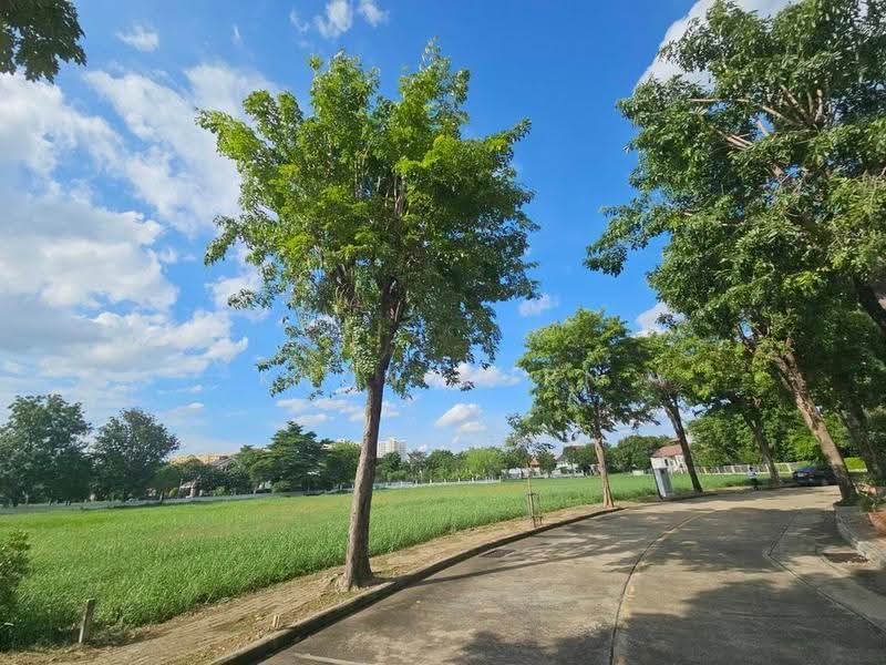 Karuehaad Tayard, nonthaburi, Bang Phut, Pak Kret, Nonthaburi, Studio, 3,480 sqm, Single Detached House For Sale, by Khun Korn, 500588513 - DDproperty.com