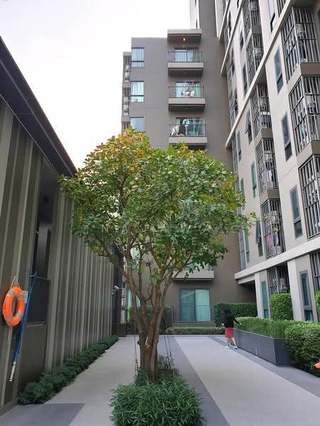 Centric Ratchada-Huai Khwang, bangkok, Ratchadapisek Road, Huai Khwang, Bangkok, 1 Bedroom, 32 sqm, Condo For Sale, by Najawa Salae, 500588582 - DDproperty.com
