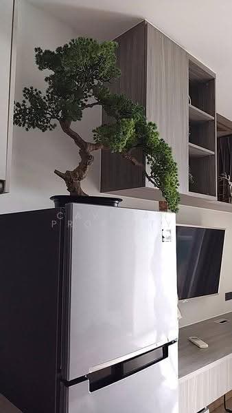 Whizdom Station Ratchada-Thapra, bangkok, Ratchada Road, Dao Khanong, Thon Buri, Bangkok, Studio, 23 sqm, Condo For Rent, by caveman property, 500588631 - DDproperty.com