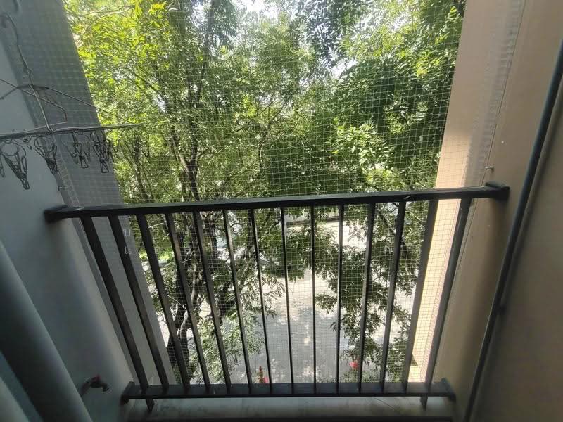Plum Condo Bangyai Station, nonthaburi, Janthongeam Road, Bang Rak Pattana, Bang Bua Thong, Nonthaburi, 1 Bedroom, 25 sqm, Condo For Sale, by บริษัท เอชแอล แอสเซท จำกัด, 500588996 - DDproperty.com