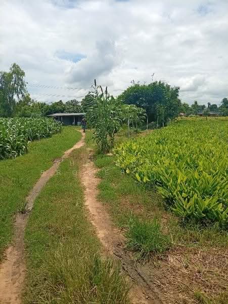 ที่ดินกำแพงแสน นครปฐม, nakhon-pathom, Thung Luk Nok, Kamphaeng Saen, Nakhon Pathom, , 19,484 sqm, Land For Sale, by The Best Property แหม่ม, 500589067 - DDproperty.com