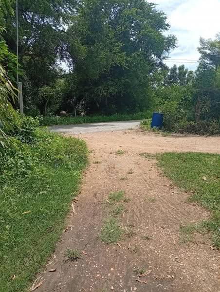 ที่ดินกำแพงแสน นครปฐม, nakhon-pathom, Thung Luk Nok, Kamphaeng Saen, Nakhon Pathom, , 19,484 sqm, Land For Sale, by The Best Property แหม่ม, 500589067 - DDproperty.com