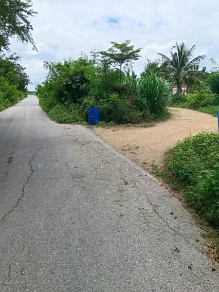 ที่ดินกำแพงแสน นครปฐม, nakhon-pathom, Thung Luk Nok, Kamphaeng Saen, Nakhon Pathom, , 19,484 sqm, Land For Sale, by The Best Property แหม่ม, 500589067 - DDproperty.com