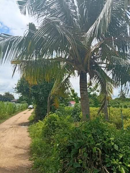 ที่ดินกำแพงแสน นครปฐม, nakhon-pathom, Thung Luk Nok, Kamphaeng Saen, Nakhon Pathom, , 19,484 sqm, Land For Sale, by The Best Property แหม่ม, 500589067 - DDproperty.com