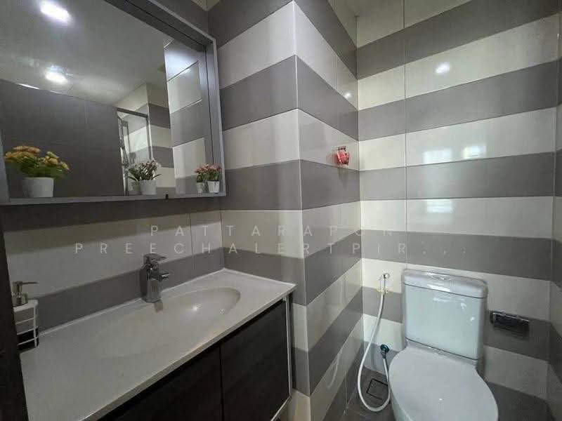 CEIL by Sansiri, bangkok, 11 Soi Ekamai 12, Sukhumvit 63 Road, Khlong Tan Nua, Watthana, Bangkok, 1 Bedroom, 35 sqm, Condo For Rent, by Pattarapon Preechalertpiriya, 500589195 - DDproperty.com