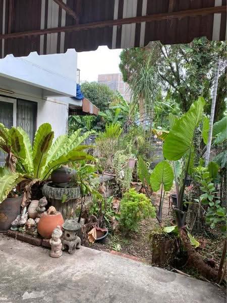 บ้าน 3-ห้องนอน, กรุงเทพ, บางนาเหนือ, บางนา, กรุงเทพ, 150 ตร.ม., บ้านเดี่ยว ขาย, โดย Vinai Wattana, 500589414 - DDproperty.com