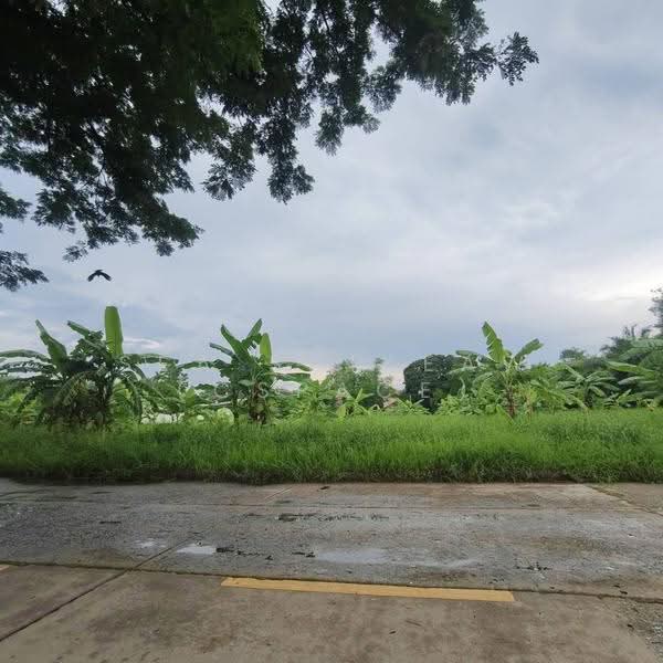 ที่ดิน, กรุงเทพ, บางจาก, พระโขนง, กรุงเทพ, 4,072 ตร.ม., ที่ดิน ให้เช่า, โดย Sea Saikeaw (Cspace), 500589637 - DDproperty.com