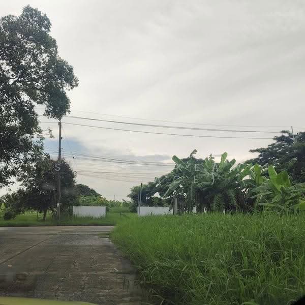 ที่ดิน, bangkok, Bang Chak, Phra Khanong, Bangkok, , 4,072 sqm, Land For Rent, by Sea Saikeaw, 500589637 - DDproperty.com