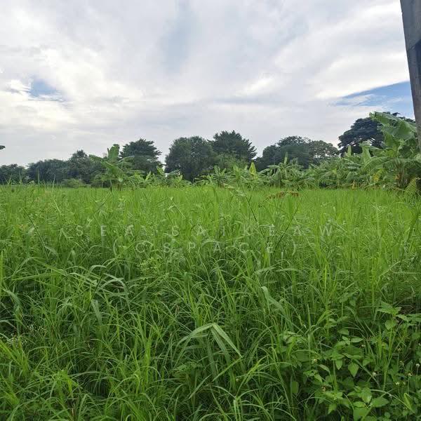 ที่ดิน, bangkok, Bang Chak, Phra Khanong, Bangkok, , 4,072 sqm, Land For Rent, by Sea Saikeaw, 500589637 - DDproperty.com