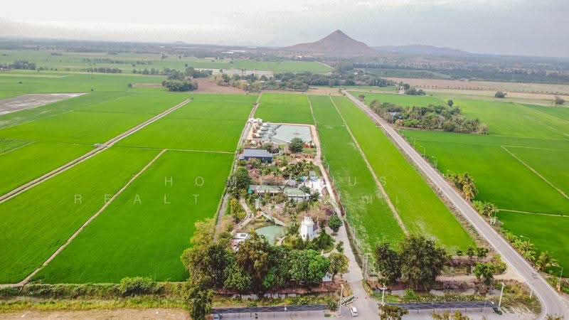 เนรมิต คาเฟ่ ชัยนาท, ชัยนาท, อู่ตะเภา, มโนรมย์, ชัยนาท, 38,000 ตร.ม., กิจการ ขาย, โดย HOMEPLUS REALTY - คุณเป็ดคุณเก่ง, 500589689 - DDproperty.com