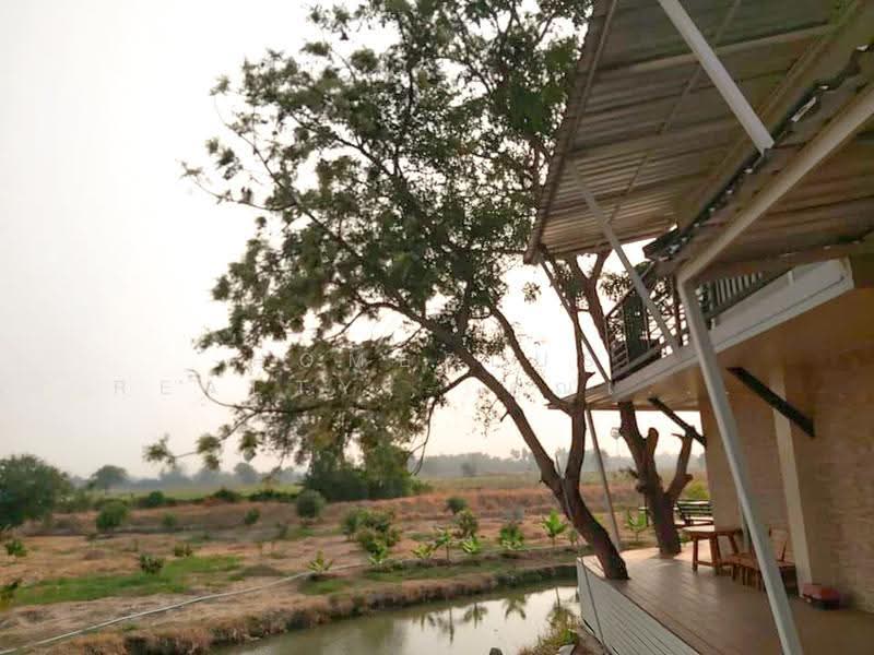 Nareumit Café, Chainat, chai-nat, U Taphao, Manorom, Chai Nat, , 38,000 sqm, Business For Sale, by HOMEPLUS REALTY - คุณเป็ดคุณเก่ง, 500589689 - DDproperty.com