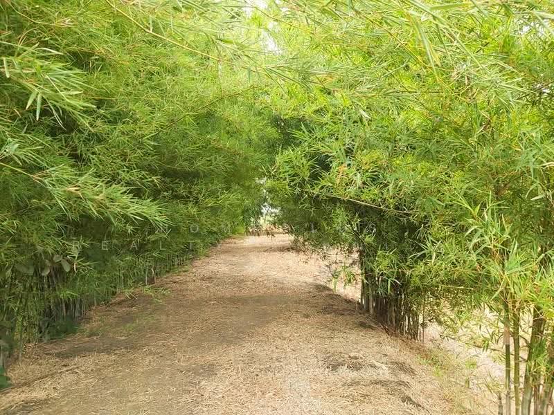 Nareumit Café, Chainat, chai-nat, U Taphao, Manorom, Chai Nat, , 38,000 sqm, Business For Sale, by HOMEPLUS REALTY - คุณเป็ดคุณเก่ง, 500589689 - DDproperty.com