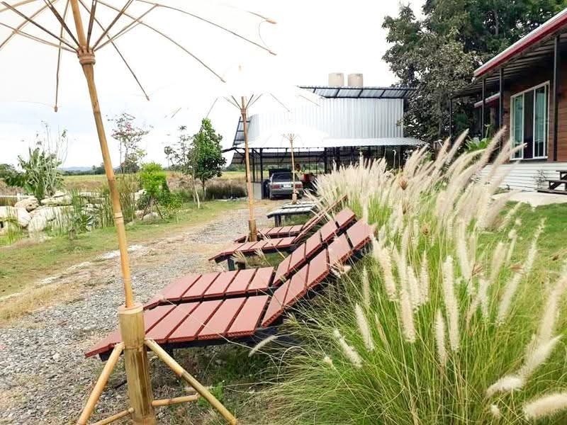 เนรมิต คาเฟ่ ชัยนาท, ชัยนาท, อู่ตะเภา, มโนรมย์, ชัยนาท, 38,000 ตร.ม., กิจการ ขาย, โดย HOMEPLUS REALTY - คุณเป็ดคุณเก่ง, 500589689 - DDproperty.com