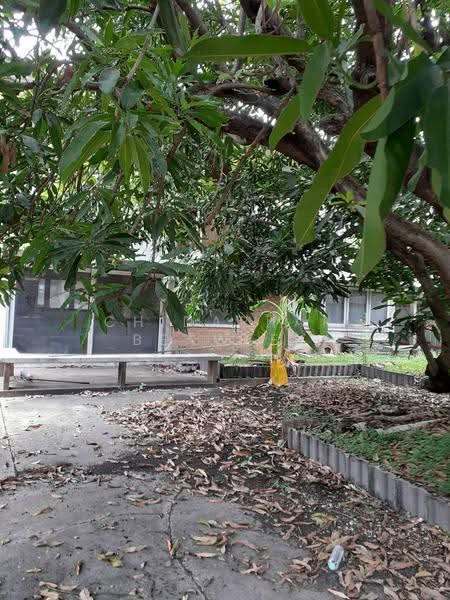 Land with buildings for sale at Sukhumvit 103/2 (Udom Suk), near the Bangkok Mall, bangkok, สุขุมวิท, Bang Na, Bangkok, , 808 sqm, Land For Sale, by Chidaphar Beawlek, 500589788 - DDproperty.com