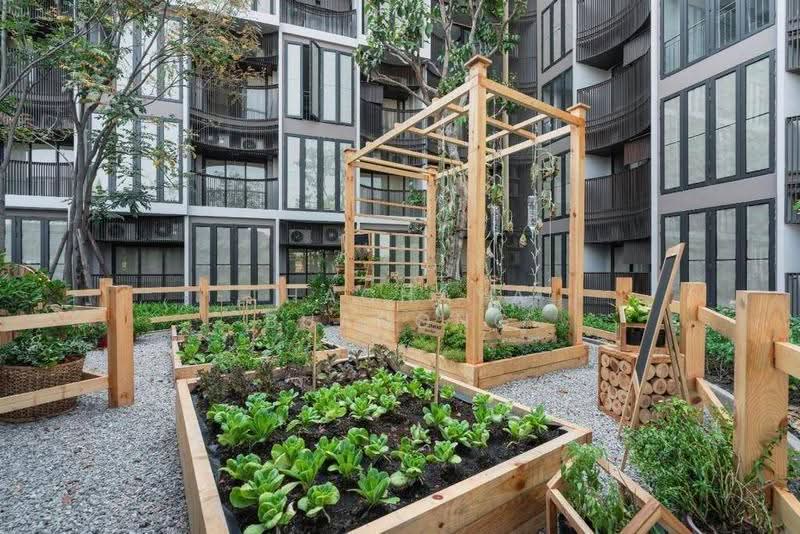 Kawa Haus, bangkok, 95 Soi Rim Khlong, Phra Kanong Nua, Watthana, Bangkok, 1 Bedroom, 43 sqm, Condo For Sale, by Thachaya Buanong, 500589920 - DDproperty.com