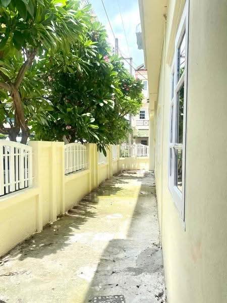 4-BR Townhouse, bangkok, Lat Phrao, Bangkok, 4 Bedrooms, 325 sqm, Townhouse For Rent, by Thachaya Buanong, 500589966 - DDproperty.com
