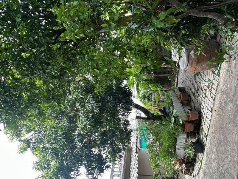 undefined, bangkok, Anusaowari, Bang Khen, Bangkok, 5 Bedrooms, 60 sqm, Single Detached House For Sale, by Narinthira Roengrit, 500589997 - DDproperty.com