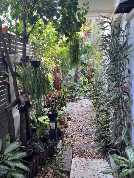 AQ ARBOR Suanluang Rama 9-Pattanakarn, bangkok, Chaloem Phrakiat Rama 9 Road Soi 48, Dok Mai, Prawet, Bangkok, 3 Bedrooms, 350 sqm, Single Detached House For Sale, by Poomphat Tienthongsakul, 500590021 - DDproperty.com