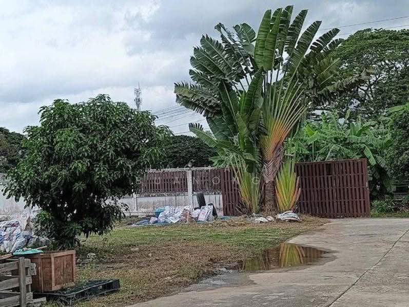 บ้าน 4-ห้องนอน, กรุงเทพ, หัวหมาก, บางกะปิ, กรุงเทพ, 445 ตร.ม., บ้านเดี่ยว ให้เช่า, โดย Thachaya Buanong, 500590080 - DDproperty.com