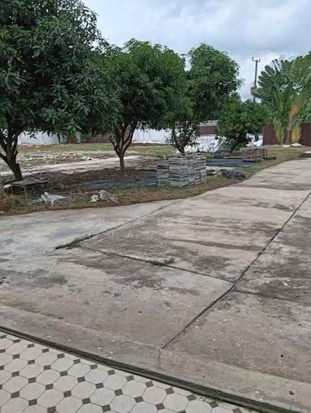 บ้าน 4-ห้องนอน, กรุงเทพ, หัวหมาก, บางกะปิ, กรุงเทพ, 445 ตร.ม., บ้านเดี่ยว ให้เช่า, โดย Thachaya Buanong, 500590080 - DDproperty.com