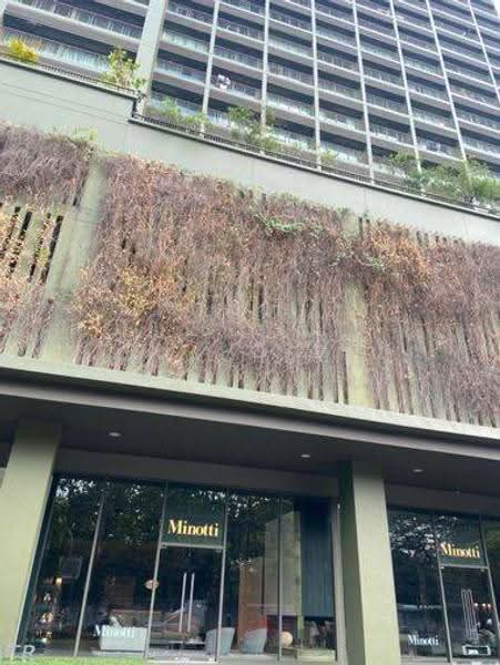 Noble Solo, bangkok, 988 Thong Lo, Khlong Tan Nua, Watthana, Bangkok, 1 Bedroom, 34 sqm, Condo For Rent, by Thachaya Buanong, 500590212 - DDproperty.com