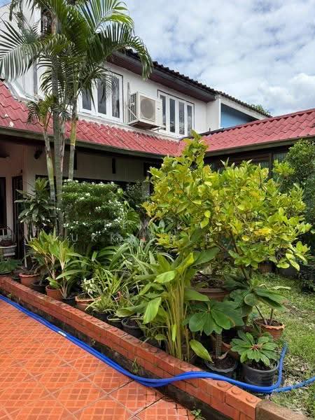 Moobaan Sena Niwet Project 1 : หมู่บ้านเสนานิเวศน์โครงการ 1, กรุงเทพ, ถนนเสนานิคม 1, จรเข้บัว, ลาดพร้าว, กรุงเทพ, 220 ตร.ม., บ้านเดี่ยว ขาย, โดย Pemika Aukkaraleekul, 500590245 - DDproperty.com