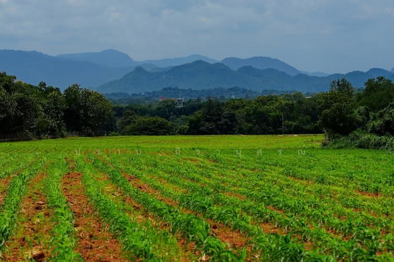 Khao yai, nakhon-ratchasima, Pong Ta Long, Pak Chong, Nakhon Ratchasima, , 28,000 sqm, Land For Sale, by Praab Thiranusorn, 500590303 - DDproperty.com