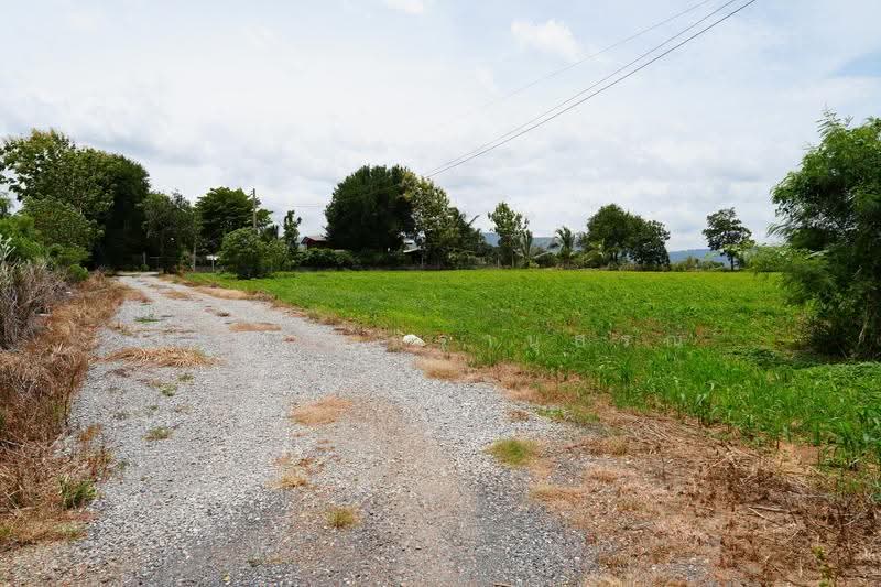 Khao yai, nakhon-ratchasima, Pong Ta Long, Pak Chong, Nakhon Ratchasima, , 28,000 sqm, Land For Sale, by Praab Thiranusorn, 500590303 - DDproperty.com
