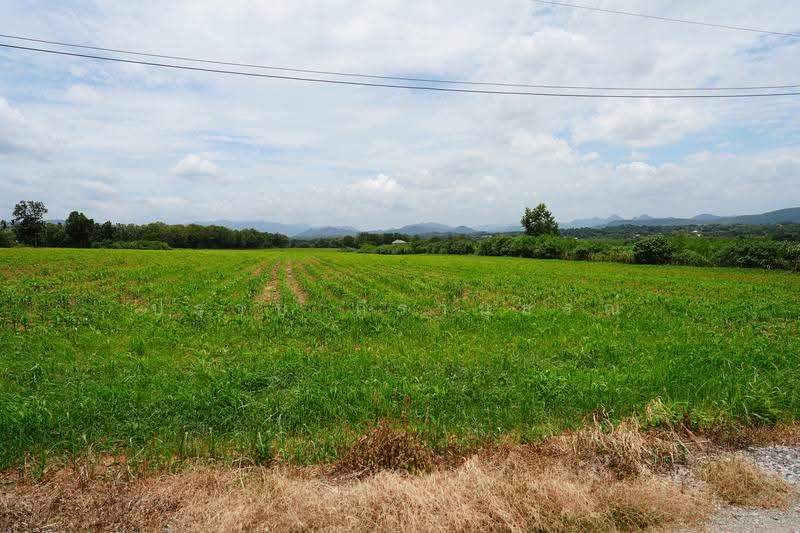 Khao yai, nakhon-ratchasima, Pong Ta Long, Pak Chong, Nakhon Ratchasima, , 28,000 sqm, Land For Sale, by Praab Thiranusorn, 500590303 - DDproperty.com