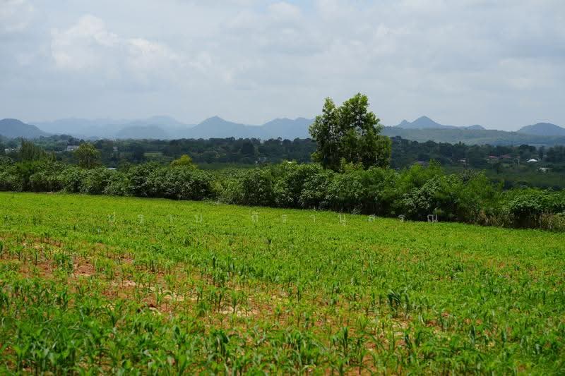 Khao yai, nakhon-ratchasima, Pong Ta Long, Pak Chong, Nakhon Ratchasima, , 28,000 sqm, Land For Sale, by Praab Thiranusorn, 500590303 - DDproperty.com