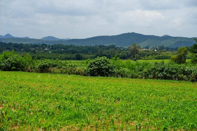 Khao yai, nakhon-ratchasima, Pong Ta Long, Pak Chong, Nakhon Ratchasima, , 28,000 sqm, Land For Sale, by Praab Thiranusorn, 500590303 - DDproperty.com