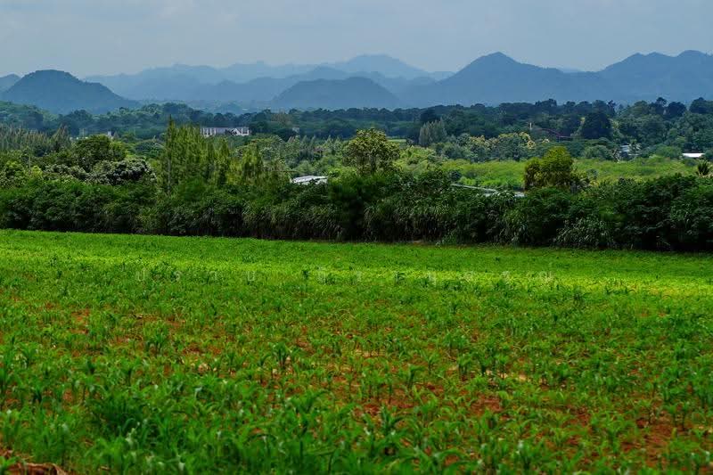 Khao yai, nakhon-ratchasima, Pong Ta Long, Pak Chong, Nakhon Ratchasima, , 28,000 sqm, Land For Sale, by Praab Thiranusorn, 500590303 - DDproperty.com