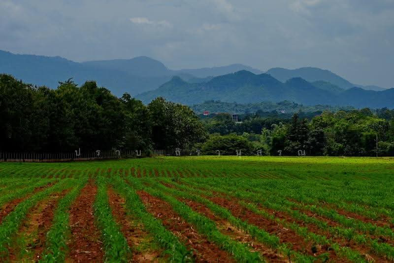 Khao yai, nakhon-ratchasima, Pong Ta Long, Pak Chong, Nakhon Ratchasima, , 28,000 sqm, Land For Sale, by Praab Thiranusorn, 500590303 - DDproperty.com