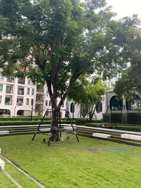 Aspire Asoke-Ratchada, bangkok, Soi Ratchadaphisek 3, Din Daeng, Bangkok, 1 Bedroom, 35 sqm, Condo For Sale, by Pemika Aukkaraleekul, 500590720 - DDproperty.com