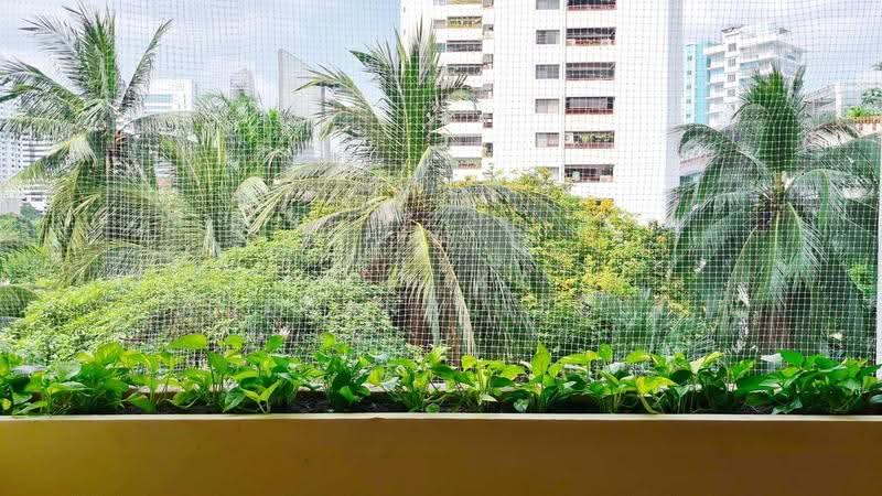 Prestige Towers : เพรสทีจ ทาวเวอร์, กรุงเทพ, 168 ซอยสุขุมวิท 23, คลองเตยเหนือ, วัฒนา, กรุงเทพ, 174 ตร.ม., คอนโด ขาย, โดย Pemika Aukkaraleekul, 500590826 - DDproperty.com