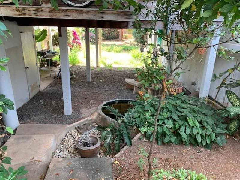 Wood house for slae, nakhon-ratchasima, Nong Chabok, Muang Nakhon Ratchasima, Nakhon Ratchasima, 1 Bedroom, 100 sqm, Single Detached House For Sale, by วิรณี อัลล์กาเยอร์, 500590911 - DDproperty.com