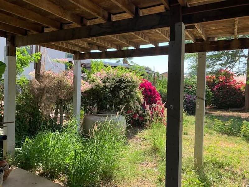 Wood house for slae, nakhon-ratchasima, Nong Chabok, Muang Nakhon Ratchasima, Nakhon Ratchasima, 1 Bedroom, 100 sqm, Single Detached House For Sale, by วิรณี อัลล์กาเยอร์, 500590911 - DDproperty.com