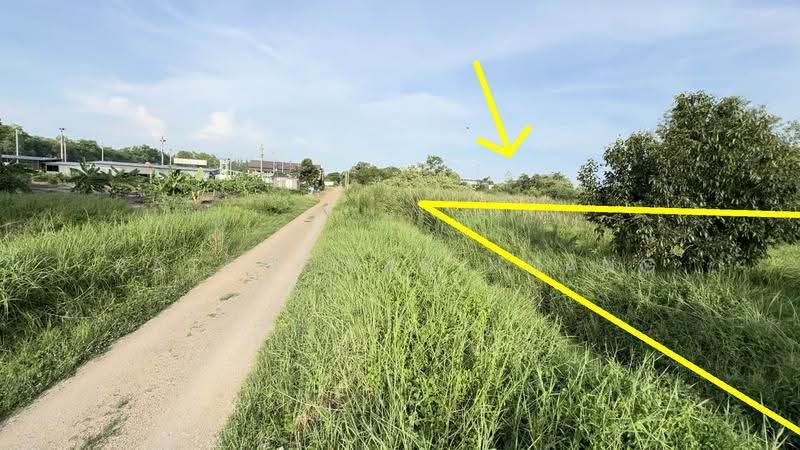 LAND FOR SALE 1 Rai of Land in Khlong 6, Khlong Hok West Soi 11, Near Rajamangala University of, pathum-thani, ถนนเลียบคลอง6, Khlong Hok, Khlong Luang, Pathum Thani, , 1,600 sqm, Land For Sale, by Ratchawan Huang, 500590918 - DDproperty.com