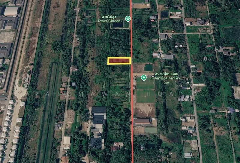 LAND FOR SALE 1 Rai of Land in Khlong 6, Khlong Hok West Soi 11, Near Rajamangala University of, pathum-thani, ถนนเลียบคลอง6, Khlong Hok, Khlong Luang, Pathum Thani, , 1,600 sqm, Land For Sale, by Ratchawan Huang, 500590918 - DDproperty.com