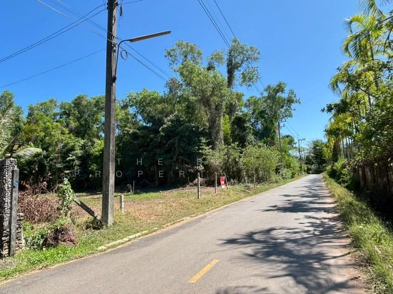 ที่ดินแกลง ระยอง, rayong, Chakphong, Klaeng, Rayong, , 989 sqm, Land For Sale, by The Best Property ตอง, 500591016 - DDproperty.com