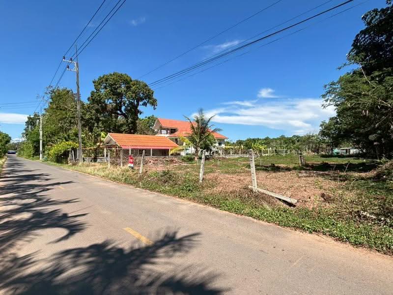 ที่ดินแกลง ระยอง, rayong, Chakphong, Klaeng, Rayong, , 989 sqm, Land For Sale, by The Best Property ตอง, 500591016 - DDproperty.com