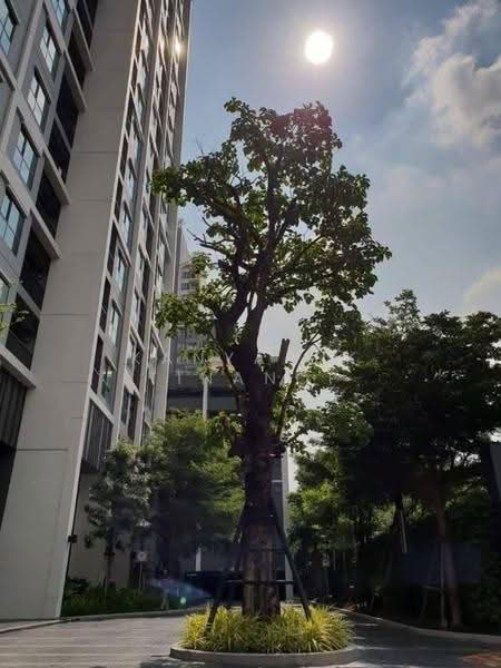 Life Sukhumvit 48 : ไลฟ์ สุขุมวิท 48, กรุงเทพ, ซอยสุขุมวิท 48, พระโขนง, คลองเตย, กรุงเทพ, 40 ตร.ม., คอนโด ขาย, โดย Kanyapuk Tinanop, 500591049 - DDproperty.com