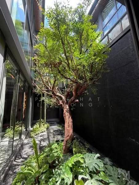 Sonle Residences, กรุงเทพ, วงศ์สว่าง, บางซื่อ, กรุงเทพ, 1,365 ตร.ม., บ้านเดี่ยว ขาย, โดย Poomphat Tienthongsakul, 500591155 - DDproperty.com