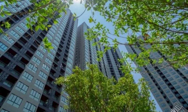 Elio Del Nest, bangkok, 39 Udomsuk Road, Bang Na, Bangkok, 2 Bedrooms, 52 sqm, Condo For Sale, by Kanyapuk Tinanop, 500591163 - DDproperty.com